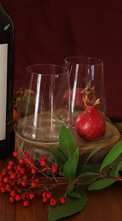 Another Glass? Wine Not?! - Stemless logoed Glass 6-Pack